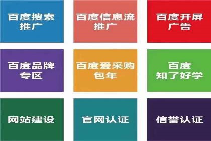 百度优化推广案例剖析：某电商平台的成功之路